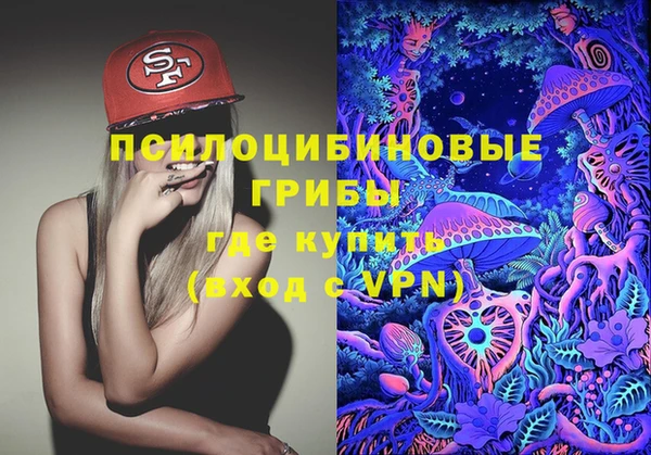 Альфа ПВП Балабаново