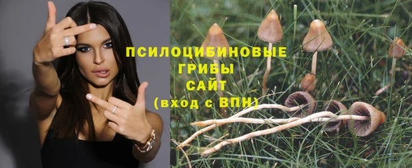 мяу мяу кристалл Балахна